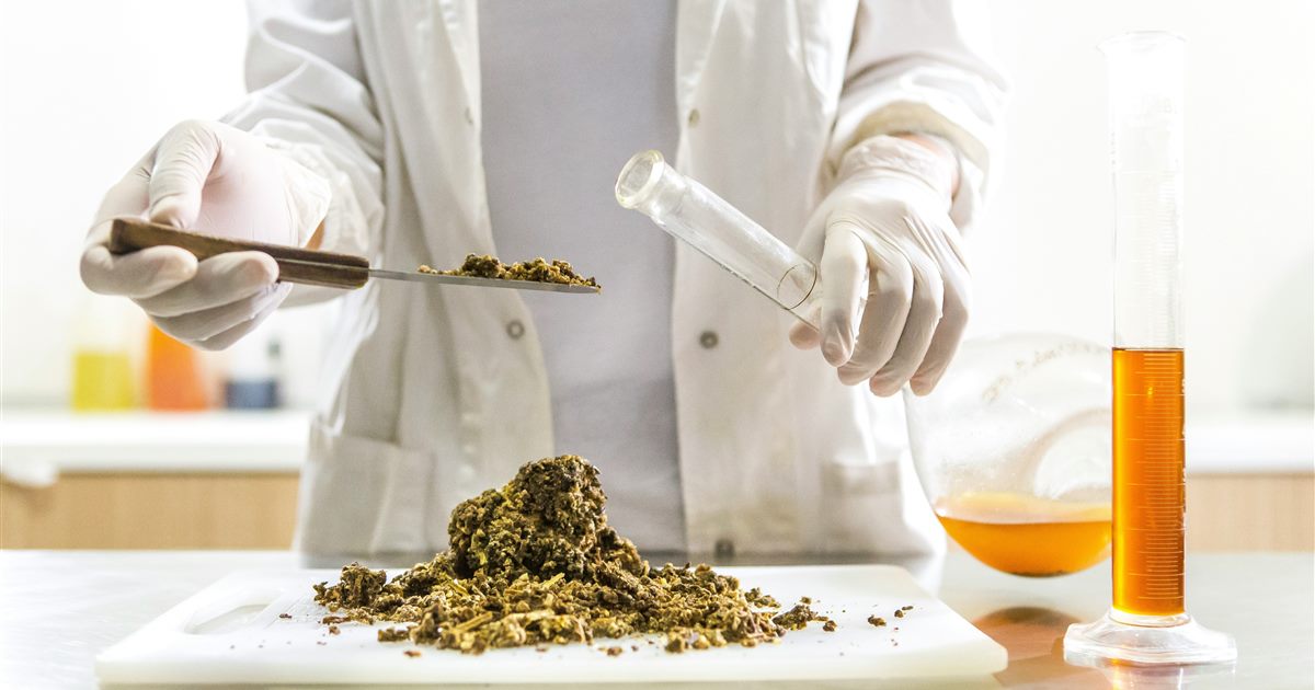 Propolis brute en morceaux dans un bocal en verre, posée sur une planche en bois avec des cadres de ruche en arrière-plan
