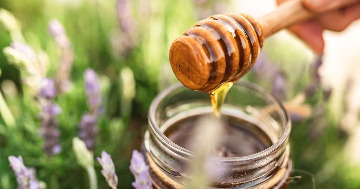Cuillère à miel en bois versant un filet de miel dans un bocal en verre ouvert, posé au milieu de touffes de lavande en fleur