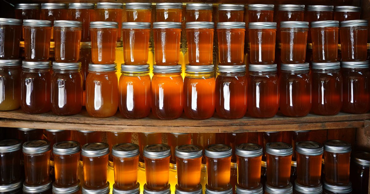 Plusieurs pots de miel alignés sur des étagères en bois, du plus clair et liquide au plus foncé, illustrant la diversité des variétés